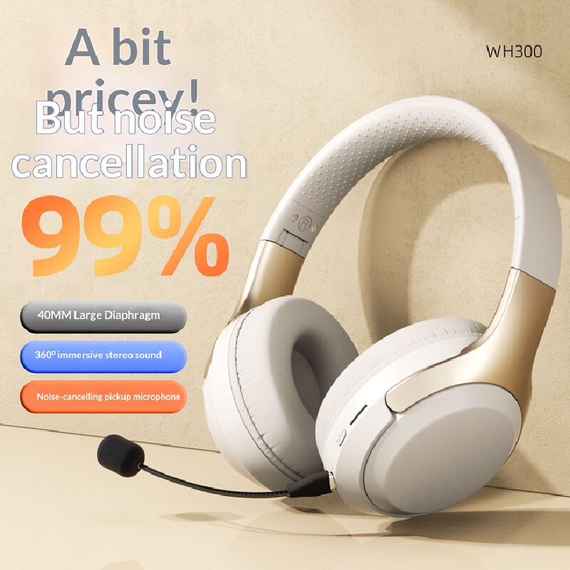 Over Ear Wireless Bluetooth He - đánh giá và giá Laptop Accessories Officeworks